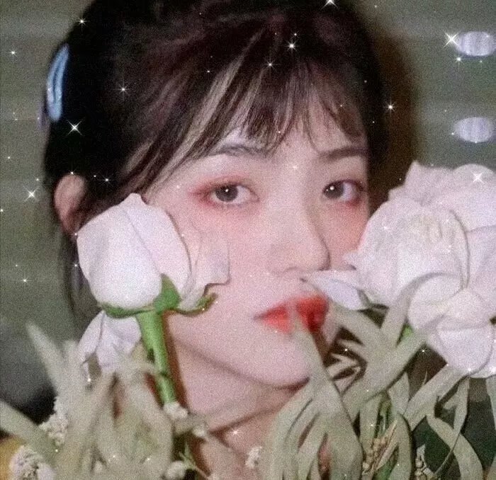 一雪前耻